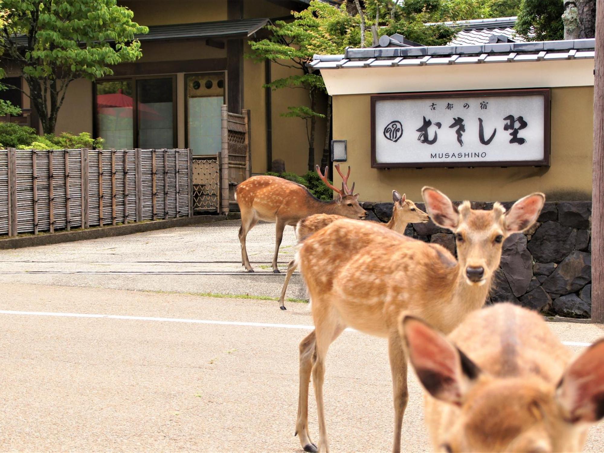 Kotonoyado Musashino Nara Bagian luar foto